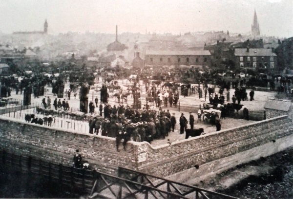 Chesterfield Cattle market. Date unknown - Jane Kirk