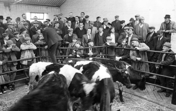 The last day of Chesterfield Cattle Market - 6th May 1972 - Paul Greenroad