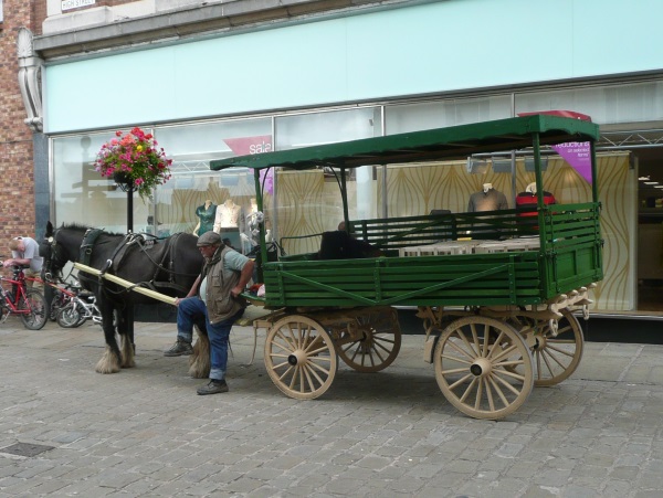 horse & cart - 2009