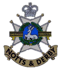 Sherwood Foresters - Notts &  Derby cap badge