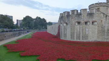 Sea of Red at Tower of London