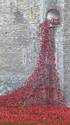 poppies at Tower of London